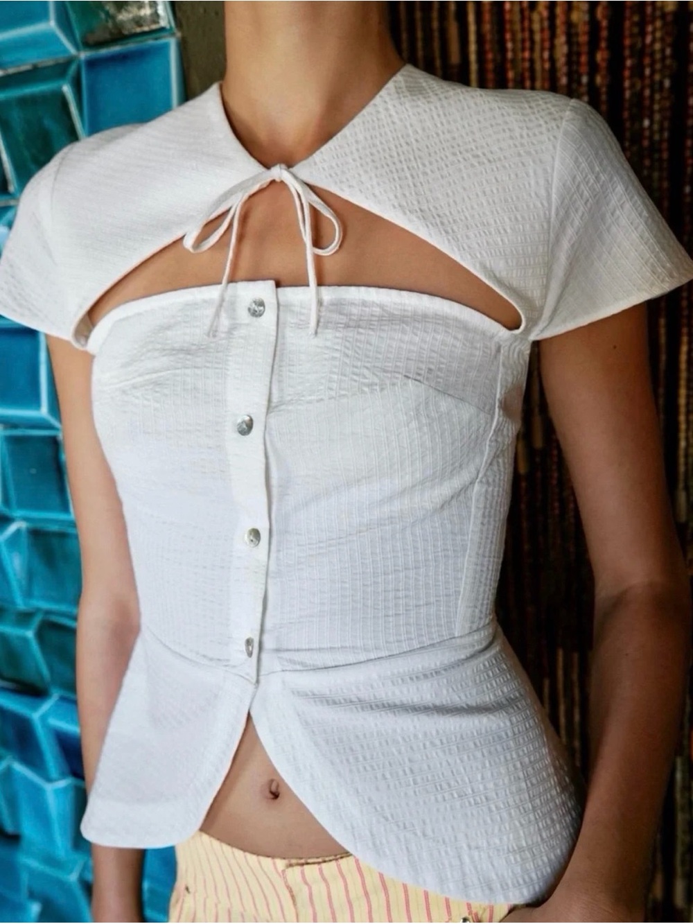 Zara Top